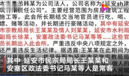 陕西爆料最新,揭秘神秘事件背后的真相